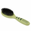 Picture of Safari Bristle Brush, Small