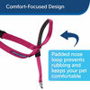 Picture of PetSafe Gentle Leader Head Collar with Training DVD, MEDIUM 25-60 LBS., RASPBERRY PINK