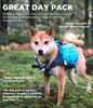 Picture of Outward Hound Daypak Dog Backpack Hiking Gear for Dogs, Medium, Blue