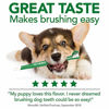 Picture of Vets Best Enzymatic Dog Toothpaste | Teeth Cleaning and Fresh Breath Dental Care Gel | Vet Formulated | 3.5 Ounces