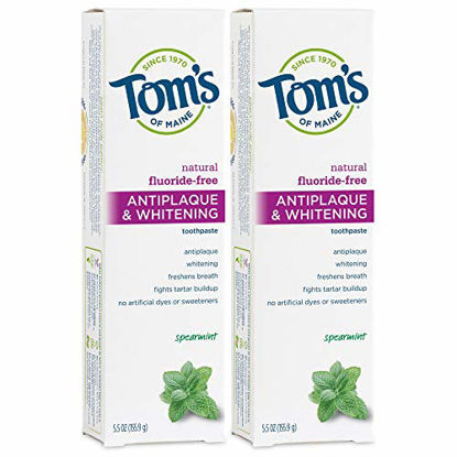 Picture of Tom's of Maine Fluoride-Free Antiplaque & Whitening Natural Toothpaste, Spearmint, 5.5 oz. 2-Pack