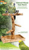 Picture of Penn-Plax Wood Bird Perch with 2 Stainless Steel Feeding Cups and Drop Tray for Large Birds - 19 Inch Height