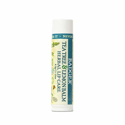 https://www.getuscart.com/images/thumbs/0401441_badger-tea-tree-lemon-balm-lip-balm-with-melissa-oil-herbal-lip-care-soothing-relief-for-lips-protec_415.jpeg