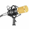 Picture of Neewer NW-800 Professional Studio Broadcasting & Recording Microphone Set Including (1)NW-800 Professional Condenser Microphone + (1)Microphone Shock Mount + (1)Ball-type Anti-wind Foam Cap + (1)Microphone Power Cable (Black)