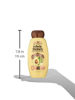 Picture of Garnier Whole Blends Avocado Shea Nourishing Shampoo and Conditioner 12.5z