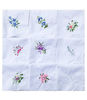 Picture of Cotton Embroidered Ladies Lace Handkerchiefs Pack