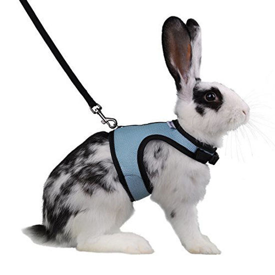 Picture of Niteangel Adjustable Soft Harness with Elastic Leash for Rabbits (L, Blue)