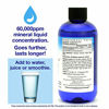 Picture of RnA ReSet - ReMag High Absorption Magnesium Liquid, Experience The Magnesium Miracle, Magnesium Chloride - by Dr. Carolyn Dean, 8.1 Fl Oz (1-Pack)