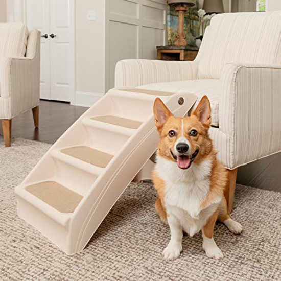 Best stairs 2024 for small dogs