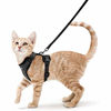 Picture of rabbitgoo Cat Harness and Leash for Walking, Escape Proof Soft Adjustable Vest Harnesses for Cats, Easy Control Breathable Reflective Strips Jacket, Black, XS (Chest: Chest: 13.5"-16")