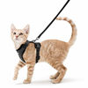 Picture of rabbitgoo Cat Harness and Leash for Walking, Escape Proof Soft Adjustable Vest Harnesses for Cats, Easy Control Breathable Reflective Strips Jacket, Black, XS (Chest: Chest: 13.5"-16")