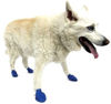 Picture of Pawz Blue Water-Proof Dog Boot, Medium, Up to 3-Inch