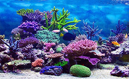 Picture of Leowefowa 5x3ft Vinyl 3D Underwater World Backdrop Aquarium Corals Photography Background Undersea Backdrop for Terrarium Outside Surface Decor Baby Shower Kids Bday Party Banner 1.5x1m Studio Props