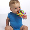 Picture of Manhattan Toy Zoo Winkel Lion Rattle and Sensory Teether