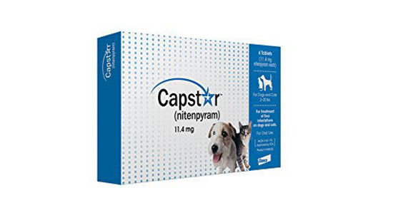 Capstar oral flea on sale treatment