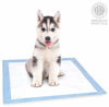 Picture of American Kennel Club AKC Training Pads, white and blue, "22"" x 22"" - pack of 100" (AKC 62920)