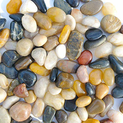 Picture of SACKORANGE 2 LB Aquarium Gravel River Rock - Natural Polished Decorative Gravel, Small Decorative Pebbles, Mixed Color Stones,for Aquariums, Landscaping, Vase Fillers (32-Oz)