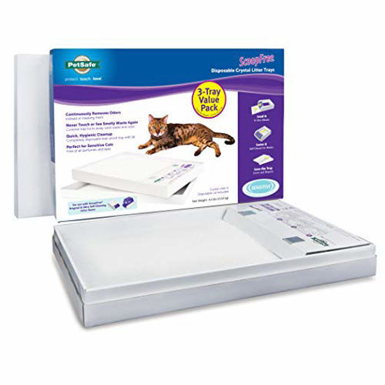 Self cleaning 2024 litter box refills