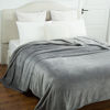 Picture of Bedsure Fleece Blanket Queen Size Grey Lightweight Super Soft Cozy Luxury Bed Blanket Microfiber