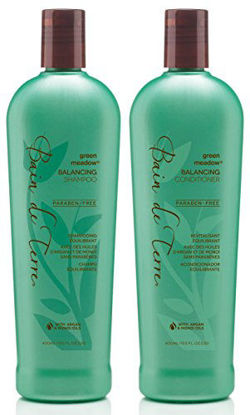 Picture of Bain De Terre Green Meadow Balancing Shampoo and Conditioner for Normal to Oily Hair, 13.5 Ounce Value Pack!