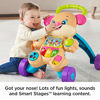 Picture of Fisher-Price Laugh & Learn Smart Stages Learn with Sis Walker