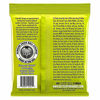 Picture of Ernie Ball 2221 Nickel Regular Slinky Electric Guitar Strings 3 Pack