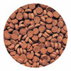 Picture of Hikari Sinking Carnivore Pellets for Pets, 2.61-Ounce