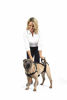 Picture of Dog Lifting Aid - Mobility Harness - Large Size