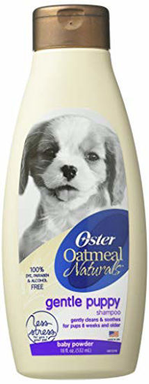 Oster store oatmeal essentials