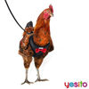 Picture of Yesito Chicken Harness Hen Size with 6ft Matching Leash - Adjustable, Resilient, Comfortable, Breathable, Large, Suitable for Chicken Weighing About 6.6 Pound,Black