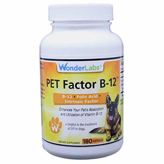 Picture of WonderLabs Pet Factor B-12 | Vitamin B-12 in Methylcobalamin Form | Popular in Treatment of EPI in Dogs