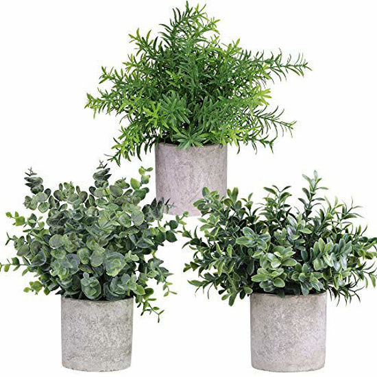 Picture of Winlyn Mini Potted Plants Artificial Eucalyptus Boxwood Rosemary Greenery in Pots Faux Potted Herbs Small Houseplants 8.3"-9" Tall for Indoor Greenery Tabletop Décor Centerpiece 3 Pack