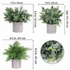 Picture of Winlyn Mini Potted Plants Artificial Eucalyptus Boxwood Rosemary Greenery in Pots Faux Potted Herbs Small Houseplants 8.3"-9" Tall for Indoor Greenery Tabletop Décor Centerpiece 3 Pack