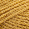 Picture of Lion Brand Yarn 860-158I Vanna's Choice Yarn, Mustard (170 yd - 156 m)