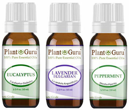 Picture of Essential Oil Set Beginner Trio Kit 10 ml 100% Pure Therapeutic Grade Includes: Eucalyptus, Lavender, Peppermint. for Aromatherapy Diffuser Humidifier, Skin and Hair Growth.