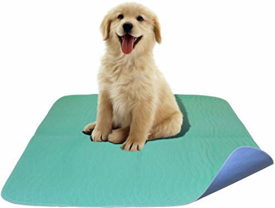 Giant clearance dog pads