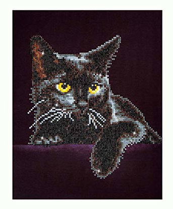 Picture of Diamond Dotz Kit Intermediate Midnight Cat