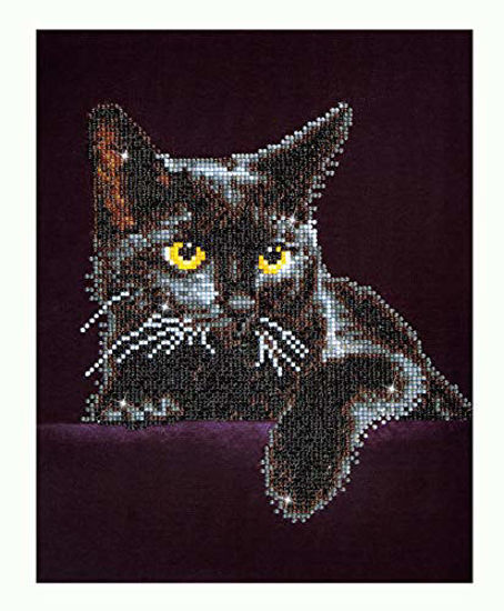 Picture of Diamond Dotz Kit Intermediate Midnight Cat