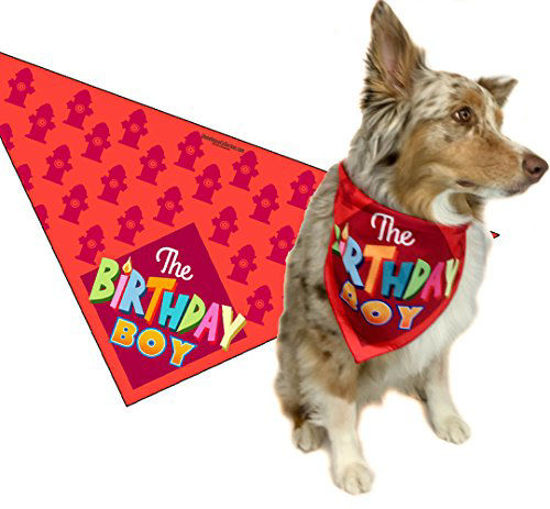 Picture of Stonehouse Collection Birthday Boy - Happy Birthday Dog Bandana - Dog Birthday Scarf Accessory - Great Dog Gift Idea (Medium to Large)