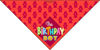 Picture of Stonehouse Collection Birthday Boy - Happy Birthday Dog Bandana - Dog Birthday Scarf Accessory - Great Dog Gift Idea (Medium to Large)