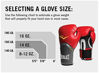 Picture of Everlast Elite Pro Style Training Gloves, Black, 16 oz