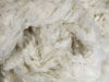 Picture of Organic Raw Cotton Fiber - Natural Color - by The Pound