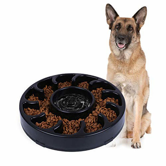 Best anti gulp 2024 dog bowl uk