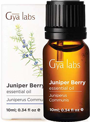 Picture of Gya Labs Juniper Berry Essential Oil for Skin Care, Pain Relief and Sleep - Reduce Breakout, Relieve Sore Muscles, Relax Mood - 100 Pure Therapeutic Grade Juniper Essential Oil for Aromatherapy - 10ml