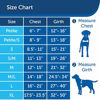 Picture of PetSafe Easy Walk Dog Harness, Teal, Medium
