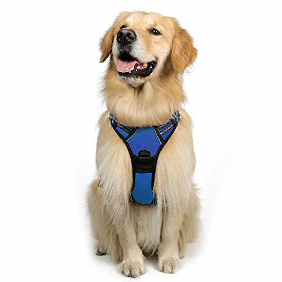 Padded no pull dog 2024 harness