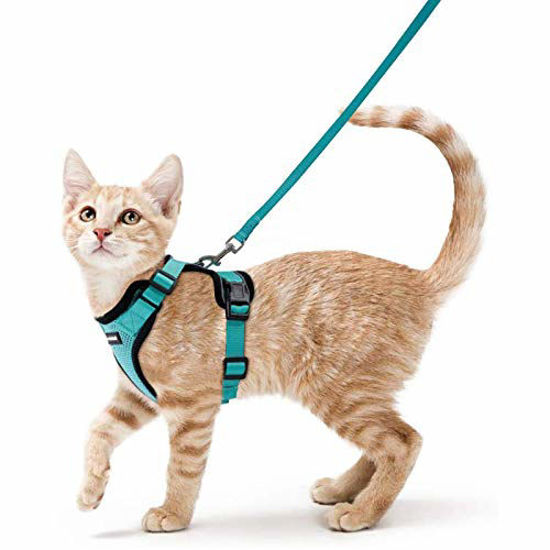 Picture of rabbitgoo Cat Harness and Leash for Walking, Escape Proof Soft Adjustable Vest Harnesses for Cats, Easy Control Breathable Reflective Strips Jacket, Emerald, XS (Chest: 13.5"-16")