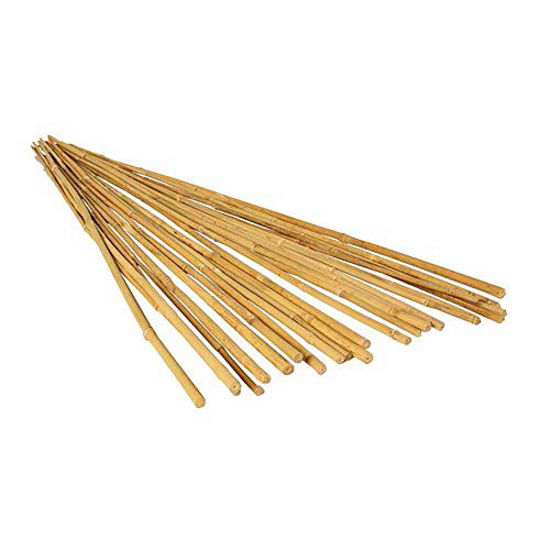 Picture of Hydrofarm HGBB4 4' Natural, Pack of 25 Bamboo Stake, 4 foot, Tan