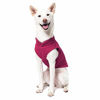 Picture of Gooby Dog Fleece Vest - Fuchsia, Small - Pullover Dog Jacket with Leash Ring - Winter Small Dog Sweater - Warm Dog Clothes for Small Dogs Girl or Boy for Indoor and Outdoor Use