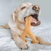 Picture of Benebone Wishbone Durable Dog Chew Toy for Aggressive Chewers, Made in USA, Large, Real Chicken Flavor